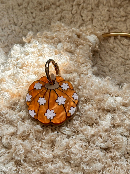 Charm Calabaza